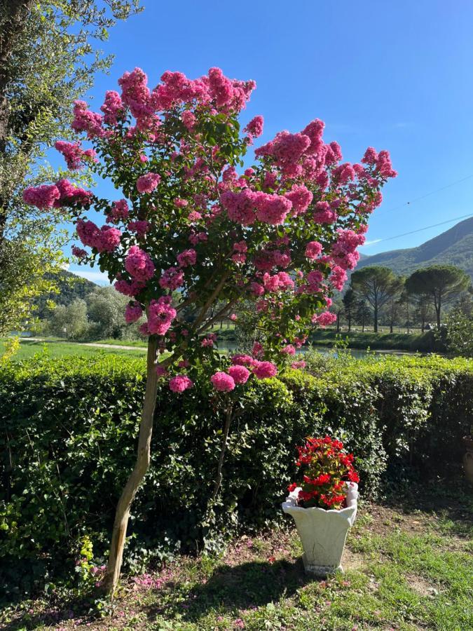 La Cannucciola Piediluco Eksteriør bilde